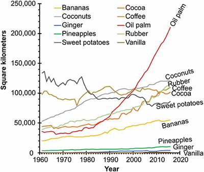 The Moral Minefield of Ethical Oil Palm and Sustainable Development